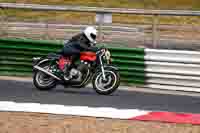 Vintage-motorcycle-club;eventdigitalimages;mallory-park;mallory-park-trackday-photographs;no-limits-trackdays;peter-wileman-photography;trackday-digital-images;trackday-photos;vmcc-festival-1000-bikes-photographs